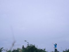 -大姆山草场