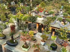 -三圣花乡旅游区