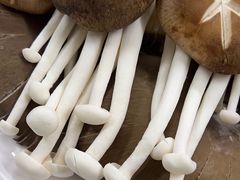 -邵汇大虾(同康路店)