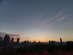 -莲花山公园