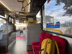 -威勒比开放式动物园