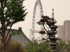 -天津大悲禅院