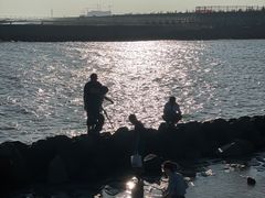 -南汇嘴观海公园