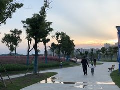 -汉江湾体育公园