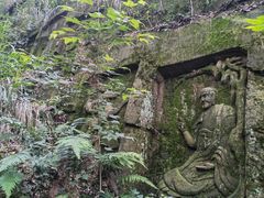 -南山植物园