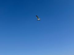 -海河外滩公园