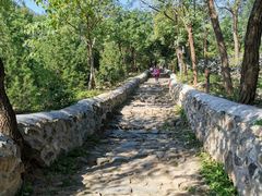 -阳台山自然风景区