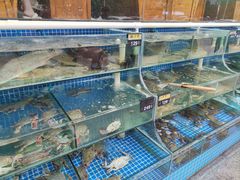 -蟹谢蒸鲜自助餐厅