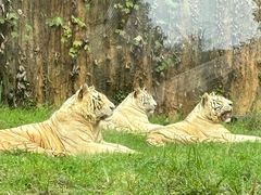 -杭州野生动物世界