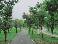 -太阳宫公园