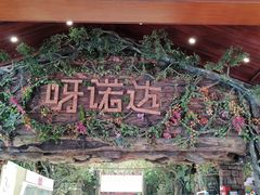 -呀诺达热带雨林