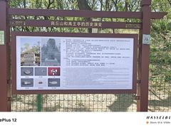 -禹城市禹王亭博物馆