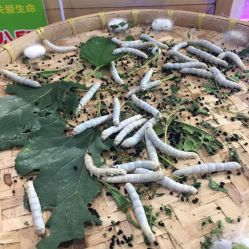 -宝贝王(东城万达店)