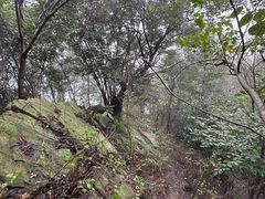 -素山寺森林公园