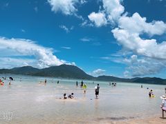 -西涌国际滨海旅游区