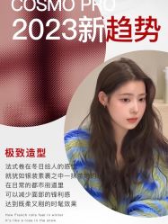 -COSMO PRO造型