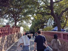 -八大关-近代建筑