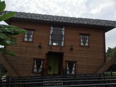 -金山农民画村-枫泾波兰倒置屋