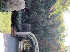 -瑞丽独树成林风景区