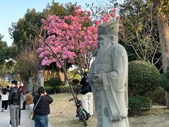-仙岳公园