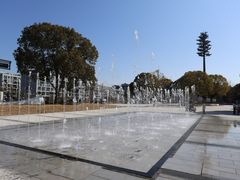 -长兴太湖图影湿地文化园