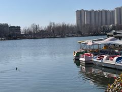 -桃花岛公园