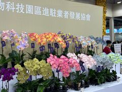 -东南花都花博园