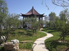 -天津东丽湖风景区