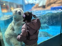 -海合安武汉极地海洋公园