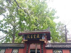 -丰都鬼城名山景区