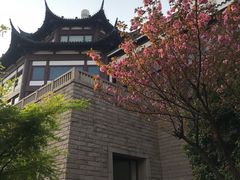 -苏州吴宫泛太平洋酒店