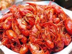 -不炭白烧烤(成都首店)