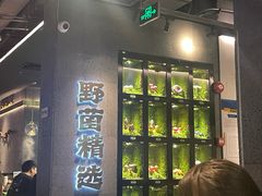 -野·大山里野生菌石锅土鸡(益田假日店)