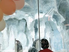 -帝企鹅自助餐厅•儿童岛•真企鹅(长隆企鹅酒店)