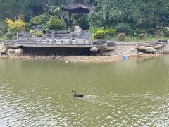 -广州市帽峰山景区
