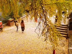 -金堂县云顶石城风景区