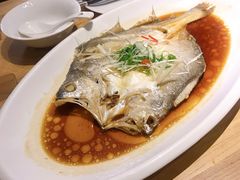 花雕酒烧黄鱼-東舍食唐精品陕菜馆