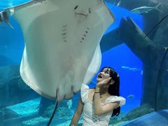 -福州罗源湾海洋世界旅游区