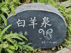 -佛冈熹乐谷温泉度假酒店