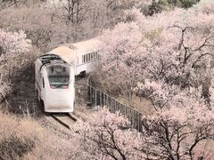 -居庸关长城-2号停车场