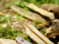 -终南山国家森林公园