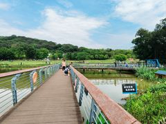 -牛岗山公园