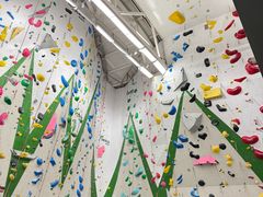 -绿壁虎攀岩基地(Tcar店)