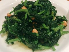 小老窖嫩豆苗-阿里家·新疆烤肉酒場 by MIG