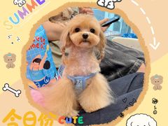 -Oh My Dog宠物沙龙(伊珊娜皮毛护理店)