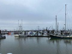 -Steveston Pizza Company (Richmond)