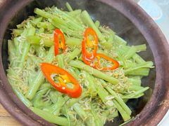 -津津菜馆(绝没分店)