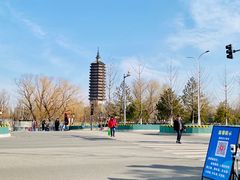 -西海子公园