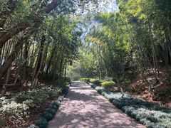 -杭州半山国家森林公园