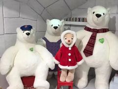 -济州岛泰迪熊博物馆